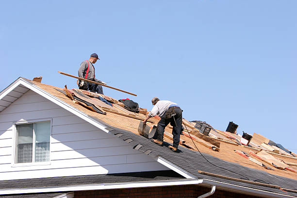 Locust Fork, AL  Roofing repair and installation Company